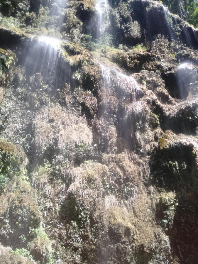 Sascha'S Resort Oslob Dış mekan fotoğraf